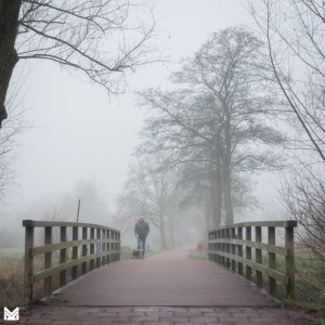 Geldrop - 2024 52 weken