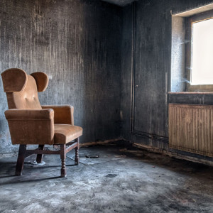 Klooster Gensterbloem