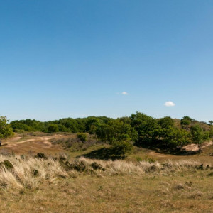 Waterleiding-duinen